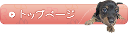 トップページ