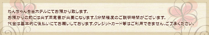 わんちゃんを当ホテルにてお預かり致します。代金は基本的に先払いにてお願いしております。クレジットカード等はご利用できません、ご了承ください。