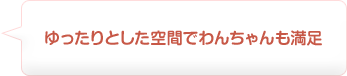ゆったりとした空間でわんちゃんも満足