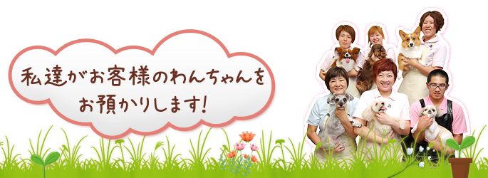 私達がお客様のわんちゃんをお預かりします！